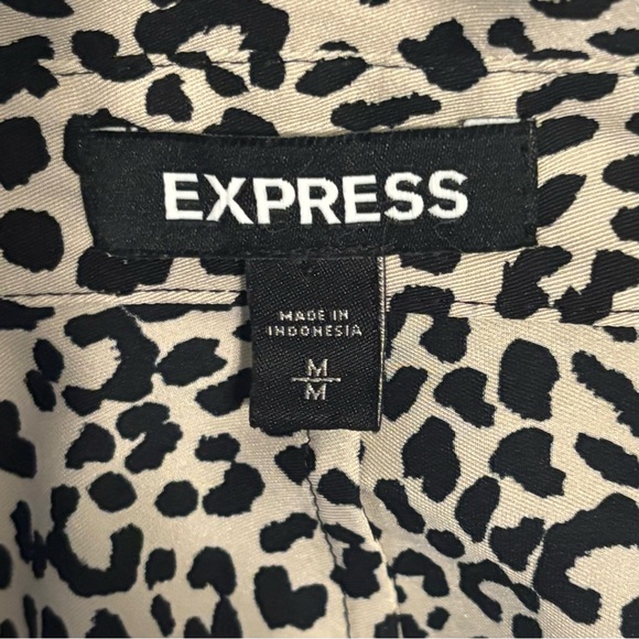 Express Portofino - Picture 4 of 8